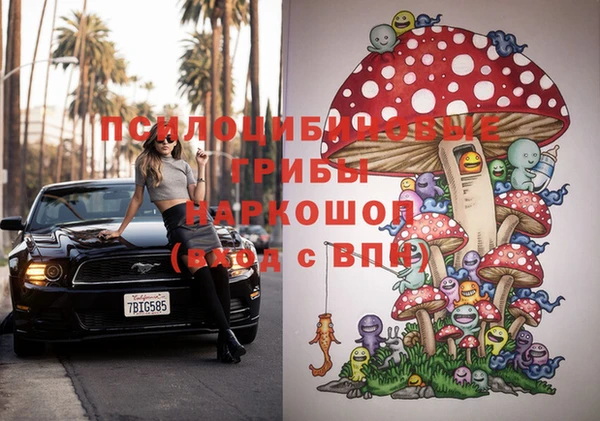 эйфоретик Алексин