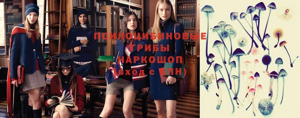 трава Алзамай