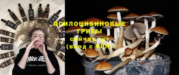 эйфоретик Алексин