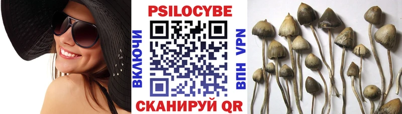 mega ССЫЛКА  Алупка  Галлюциногенные грибы Psilocybe  продажа наркотиков 